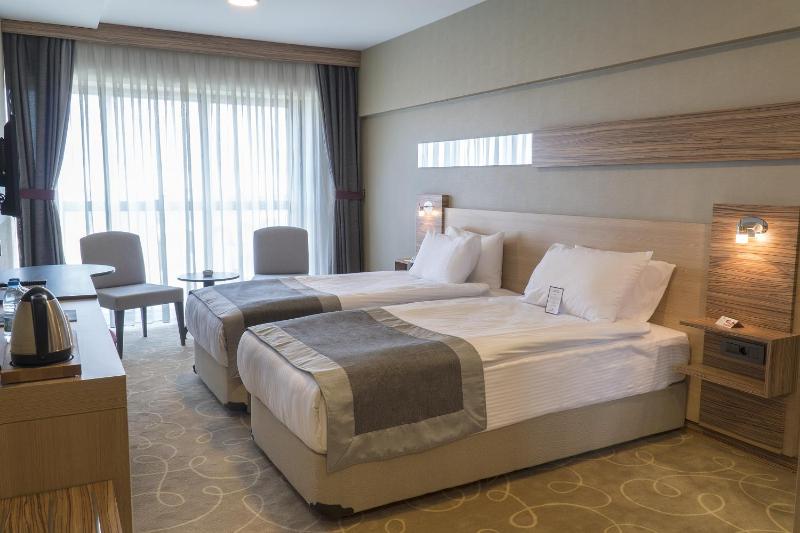 Standard Twin Room image 4