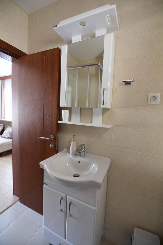 One-Bedroom Apartment image 4