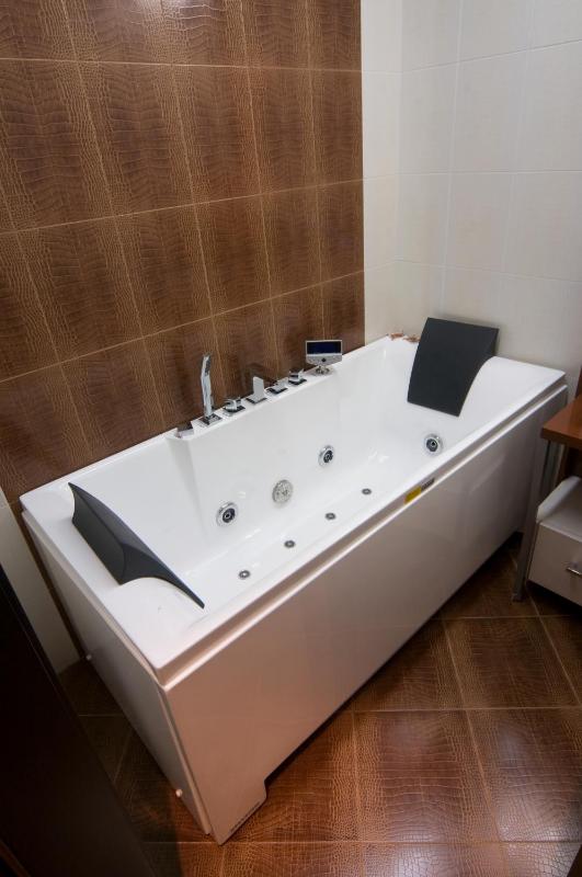 Comfort One-Bedroom Suite image 3