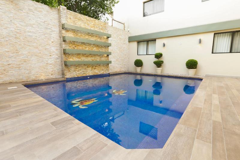 Antaris Valle - image 36