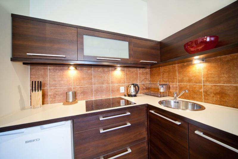 Two-Bedroom Apartment (8 Adults) image 3
