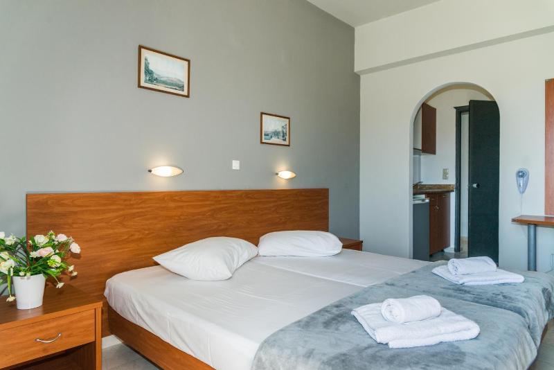 Double or Twin Room image 1