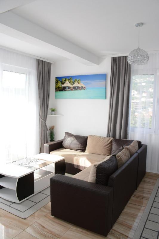 One-Bedroom Apartment image 4
