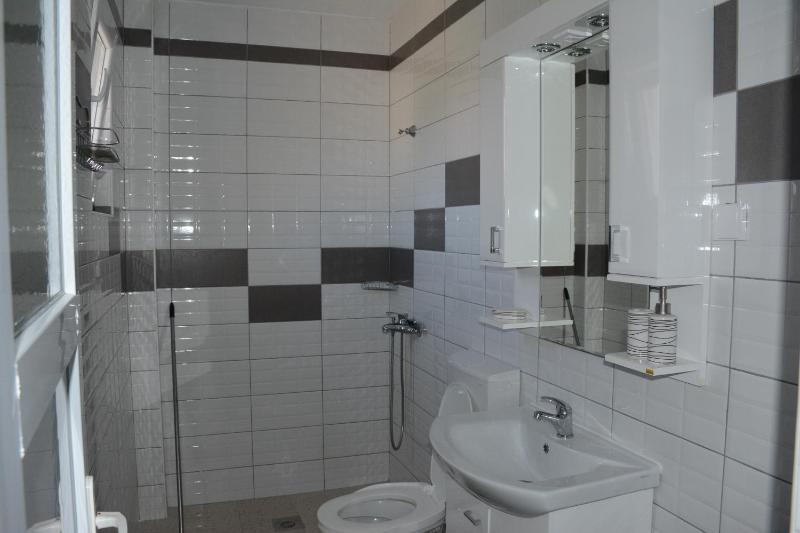 One-Bedroom Apartment image 3