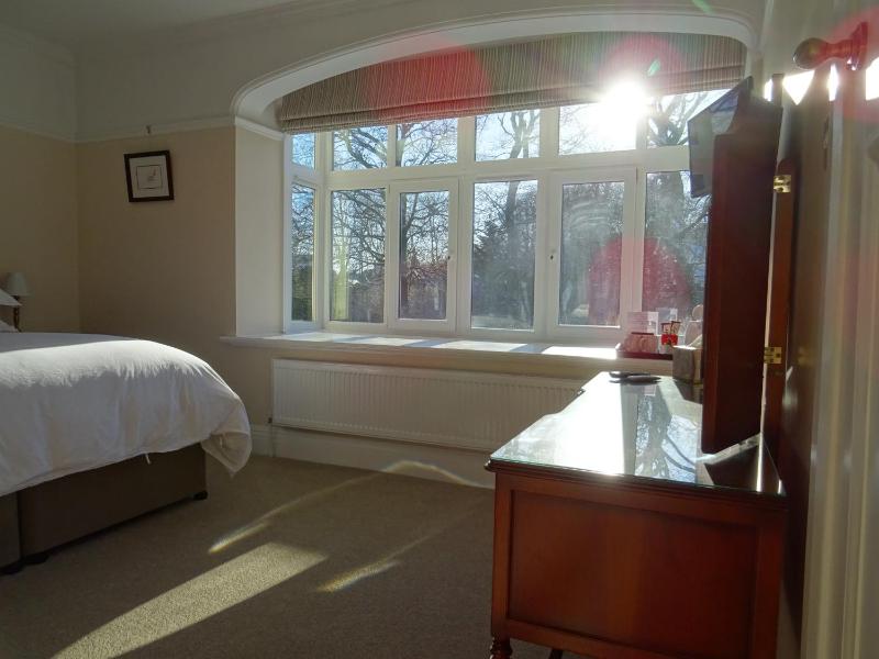 Deluxe Double or Twin Room image 1