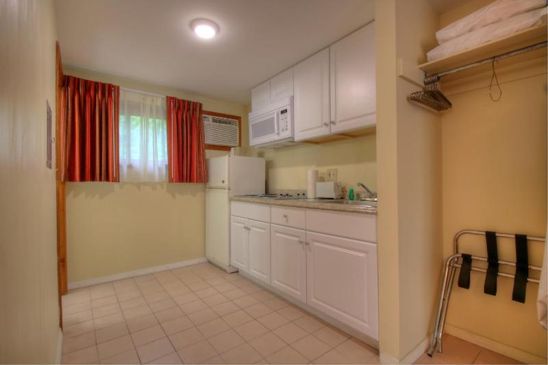 King Efficiency Room image 3