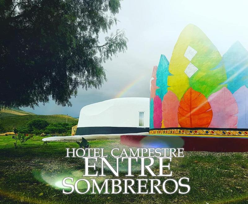 Entre Sombreros - image 15