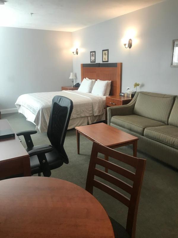 Deluxe King Suite image 4