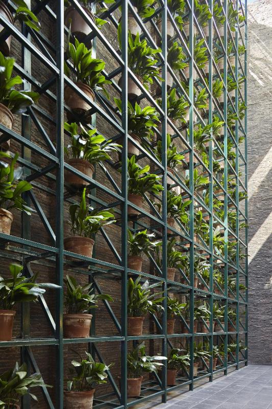 Camper Garden Suite image 3