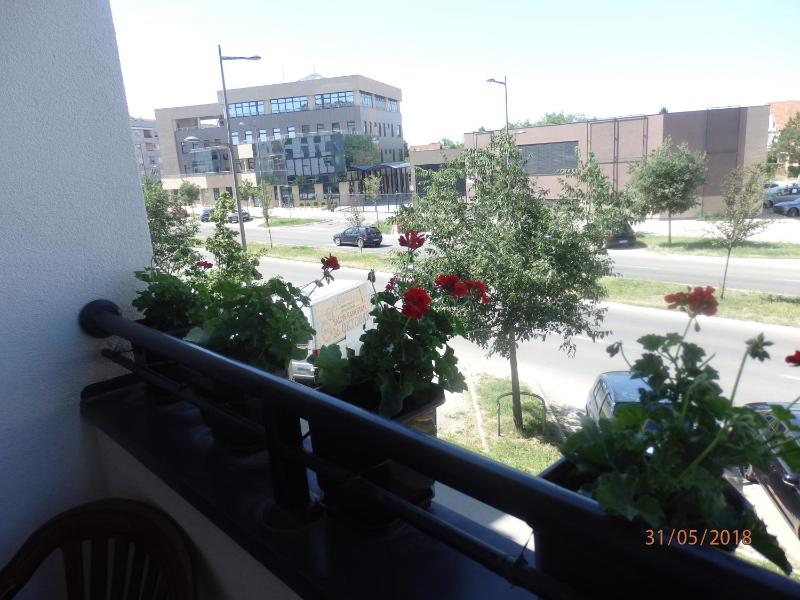 Apartment Erika - image 6