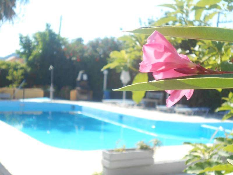 Villa Sofia - image 11