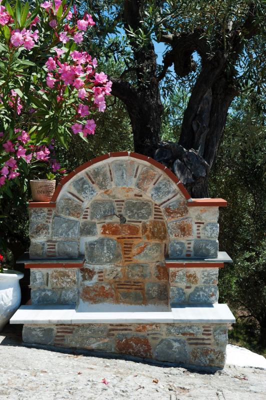 Apartments Villa L&M Skiathos - image 29