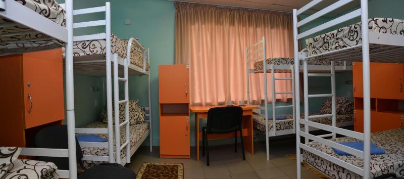 Bunk Bed in Mixed Dormitory Room image 1