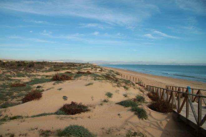 Lloyds Beach Club - image 14