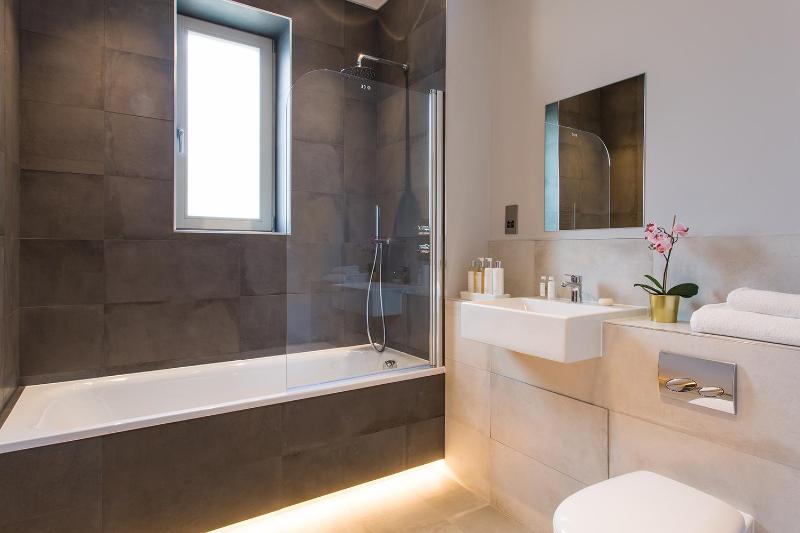 One-Bedroom Apartment image 3