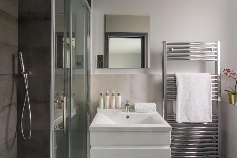 One-Bedroom Apartment image 1