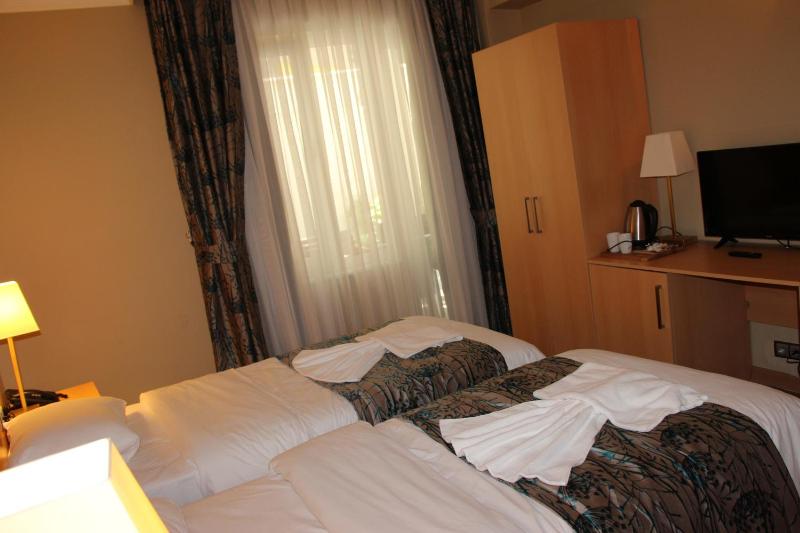 Economy Double or Twin Room image 3