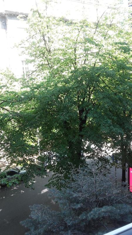 Light Spacious Apartment in the Heart of Belgrade - image 15
