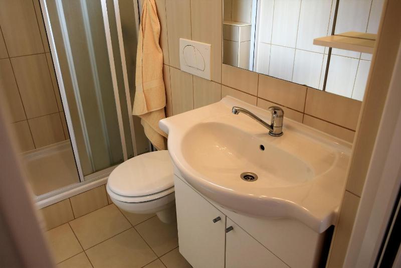 One-Bedroom Apartment image 2