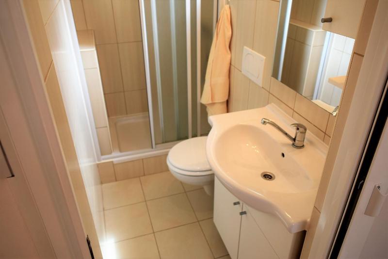 One-Bedroom Apartment image 3