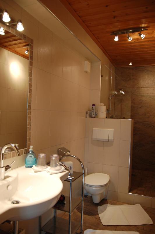Apartment with Terrace image 2