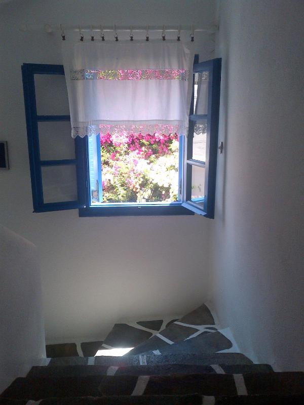 Pelagos Studios - image 15