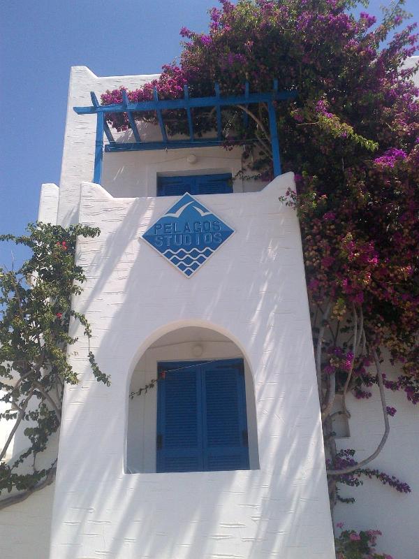 Pelagos Studios - image 50