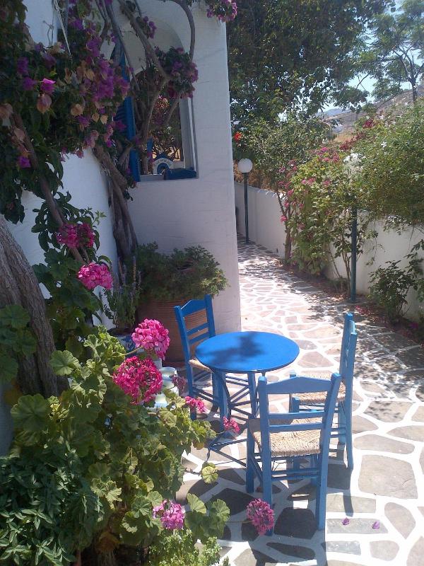 Pelagos Studios - image 14