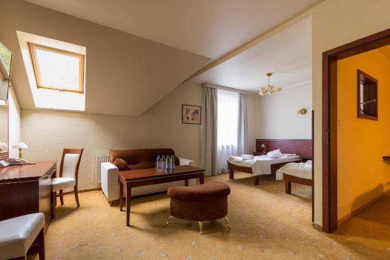 Hotel Skalite Spa & Wellness - image 17