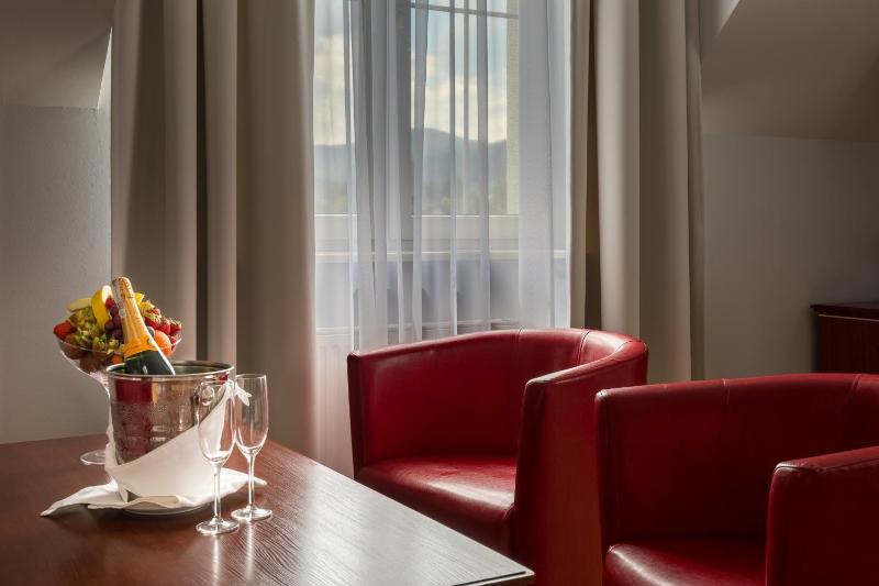Hotel Skalite Spa & Wellness - image 31