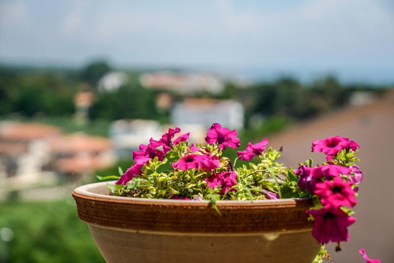 Comfort Two-Bedroom Apartment with Balcony image 3