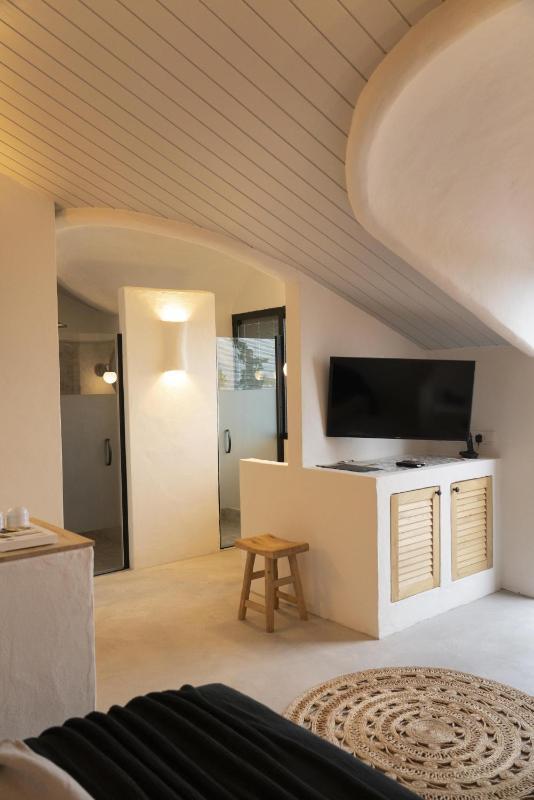 Penthouse Loft Suite image 3