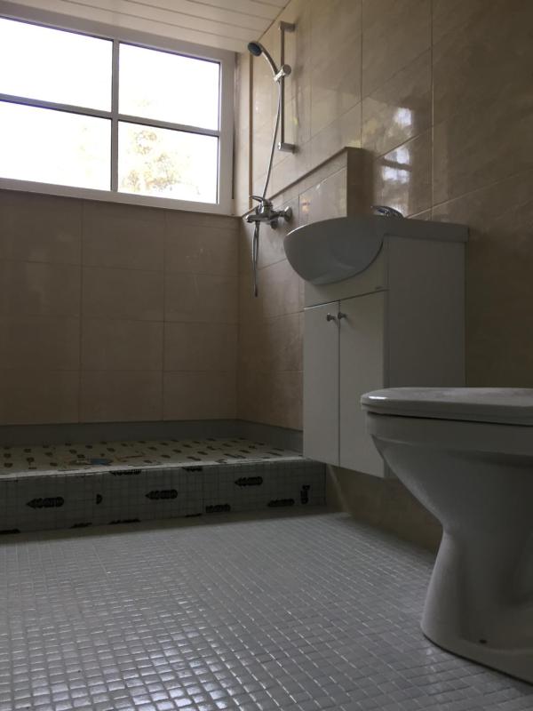 Bunk Bed in Mixed Dormitory Room image 2