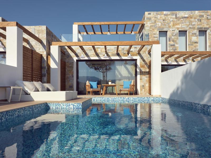 Double Room with Private Pool  image 1