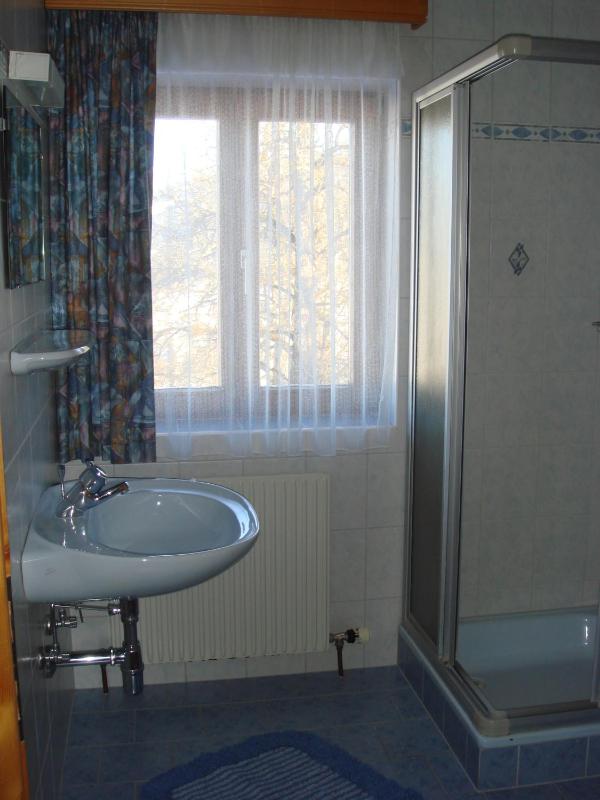 One-Bedroom Apartment image 4