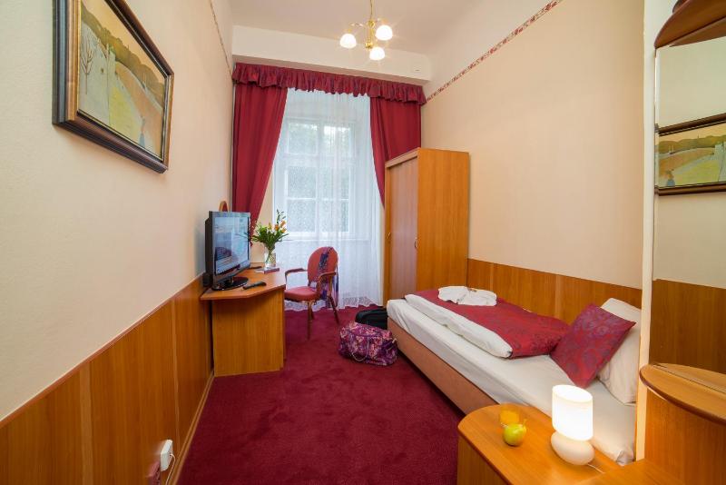 Standard Single Room image 4