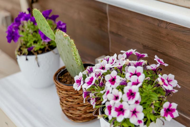 Comfy Boutique Hotel - image 7