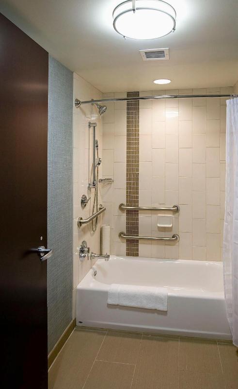 King Room - Disability Access - Shower image 3