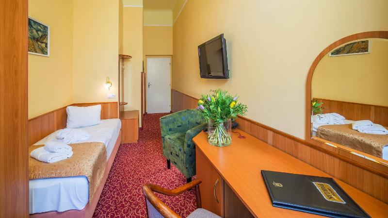 Superior Single Room image 4