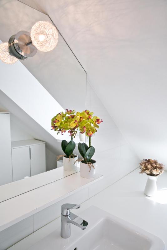 Duplex Apartment image 4