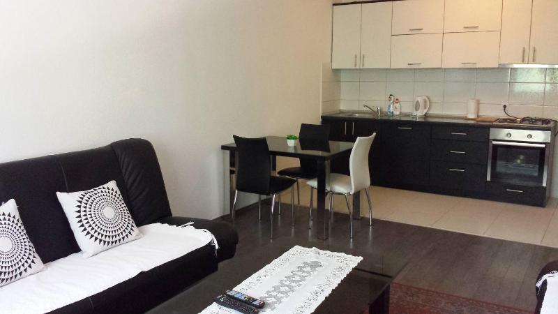 Apartment with Terrace image 2