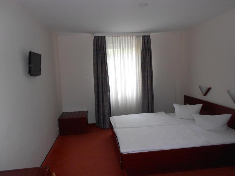 Double or Twin Room image 4