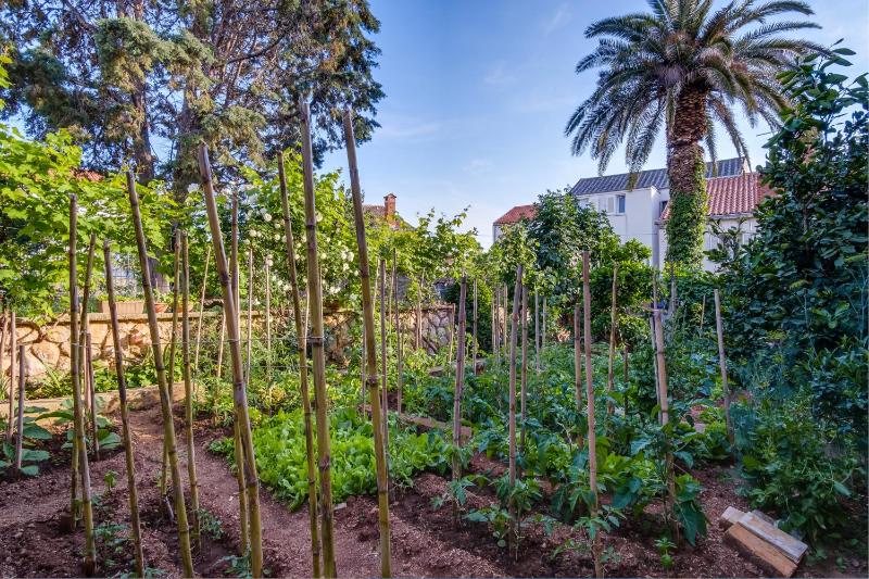 Apartments Beba - image 17
