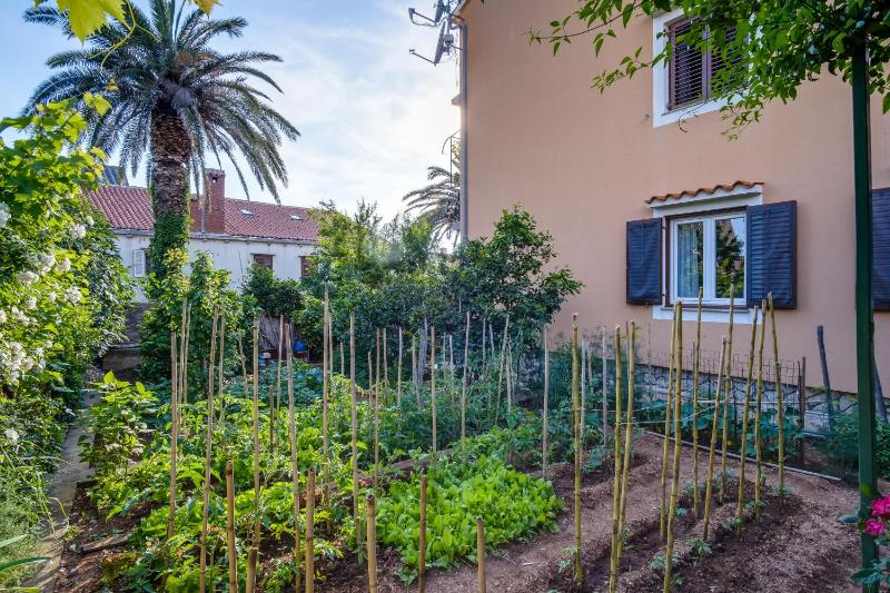 Apartments Beba - image 12