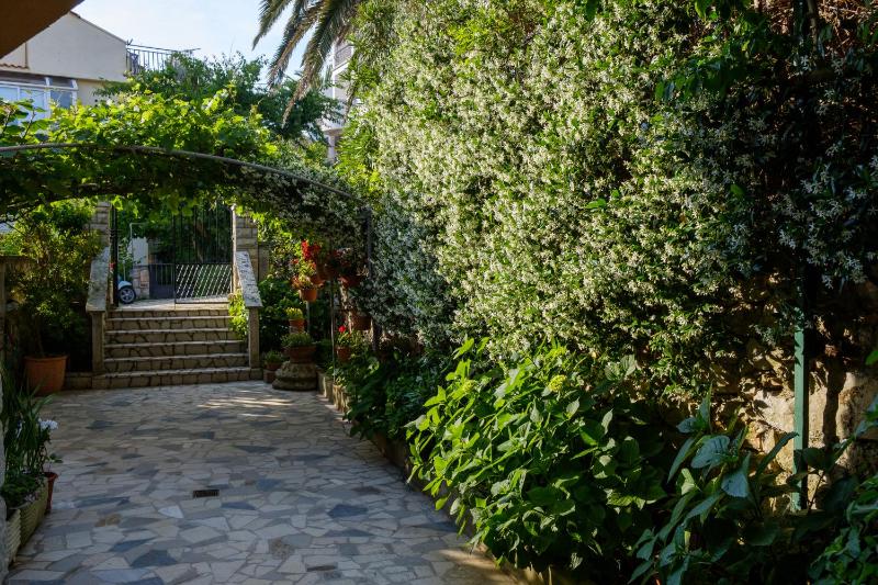 Apartments Beba - image 7