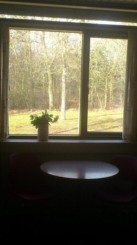 Quadruple Room image 3