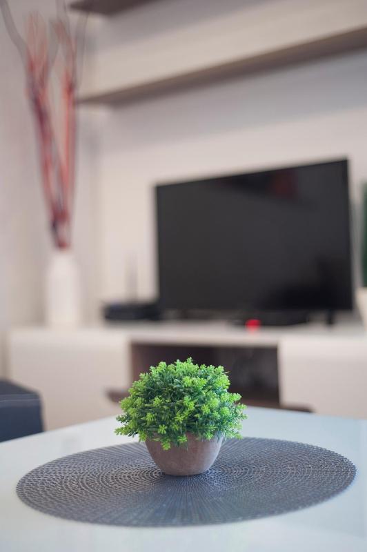 One-Bedroom Apartment image 3