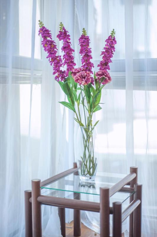 One-Bedroom Apartment image 2