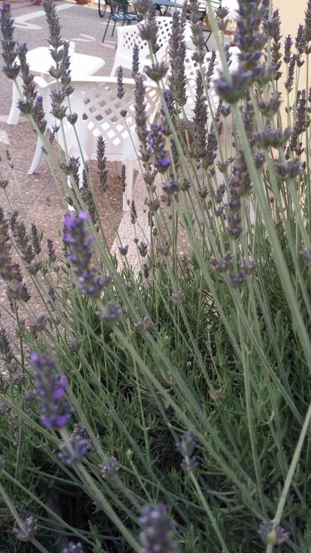 Appartamenti Sul Mare - image 23