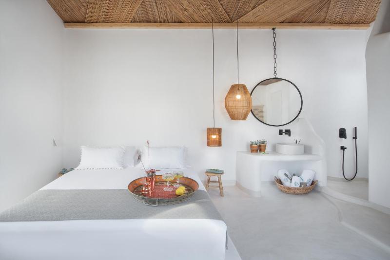 Superior Double Room with Rooftop Plunge Pool image 4